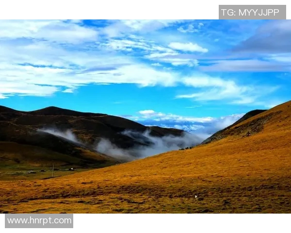 萨林杰的文学世界与人性探讨:从孤独到自我救赎的心灵旅程 萨林杰的文学世界与人性探讨:从孤独到自我救赎的心灵旅程